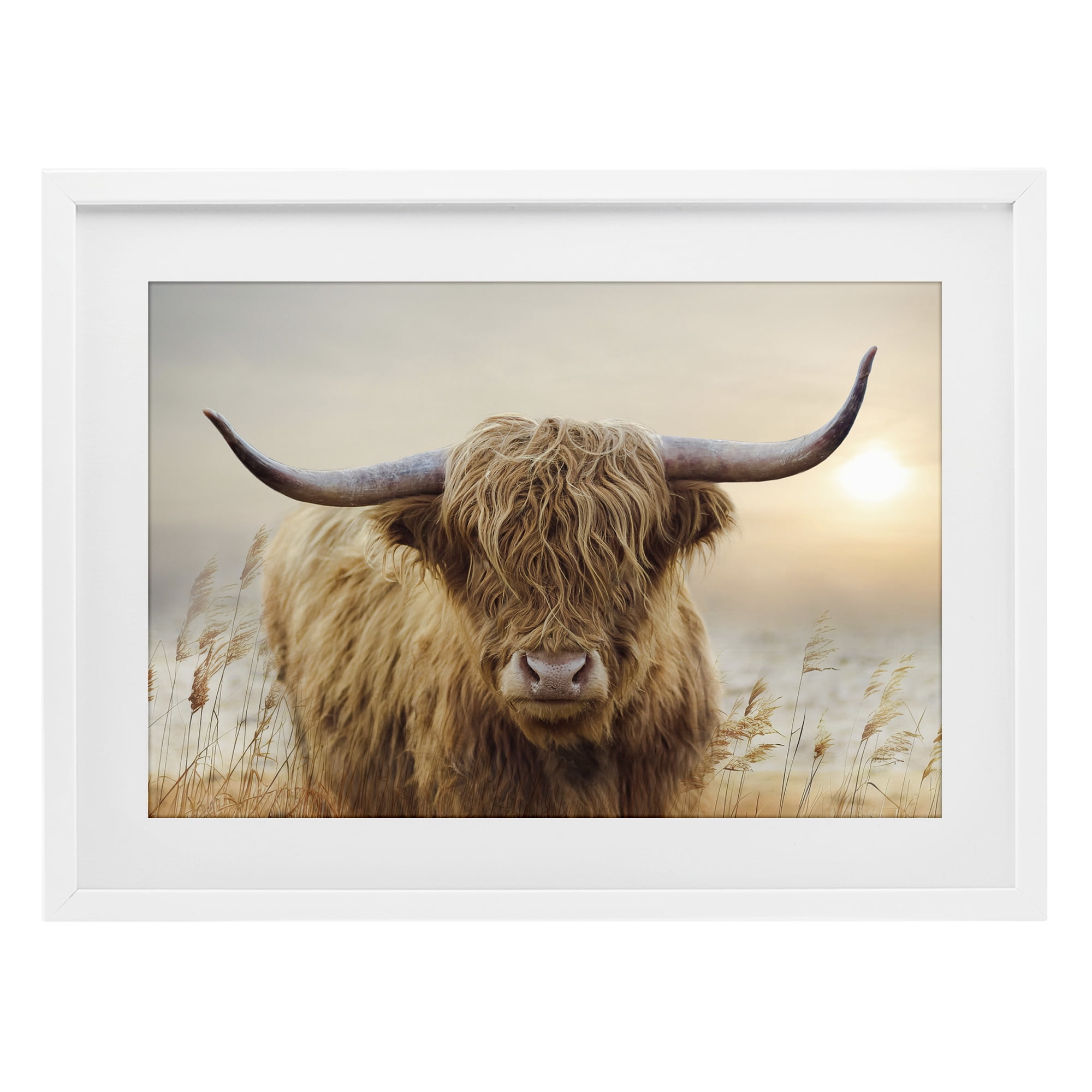 Stupell Industries Highland Cow & Warm Sunset White Framed Print Under Glass, design by CAD Designs