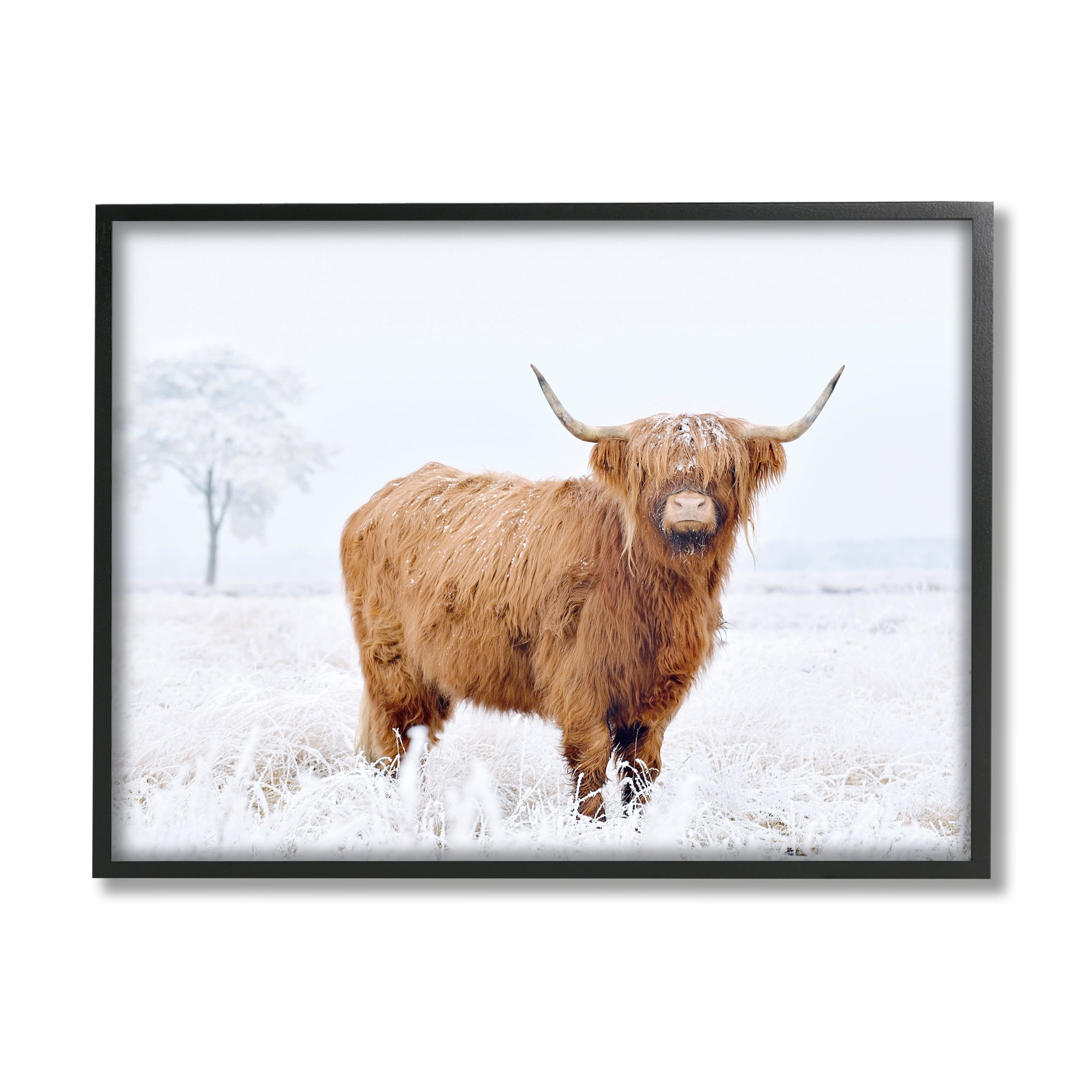 Stupell Industries Highland Cow in Snow Animals & Insects Photography Black Framed Art Print Wall Art, 14 x 11