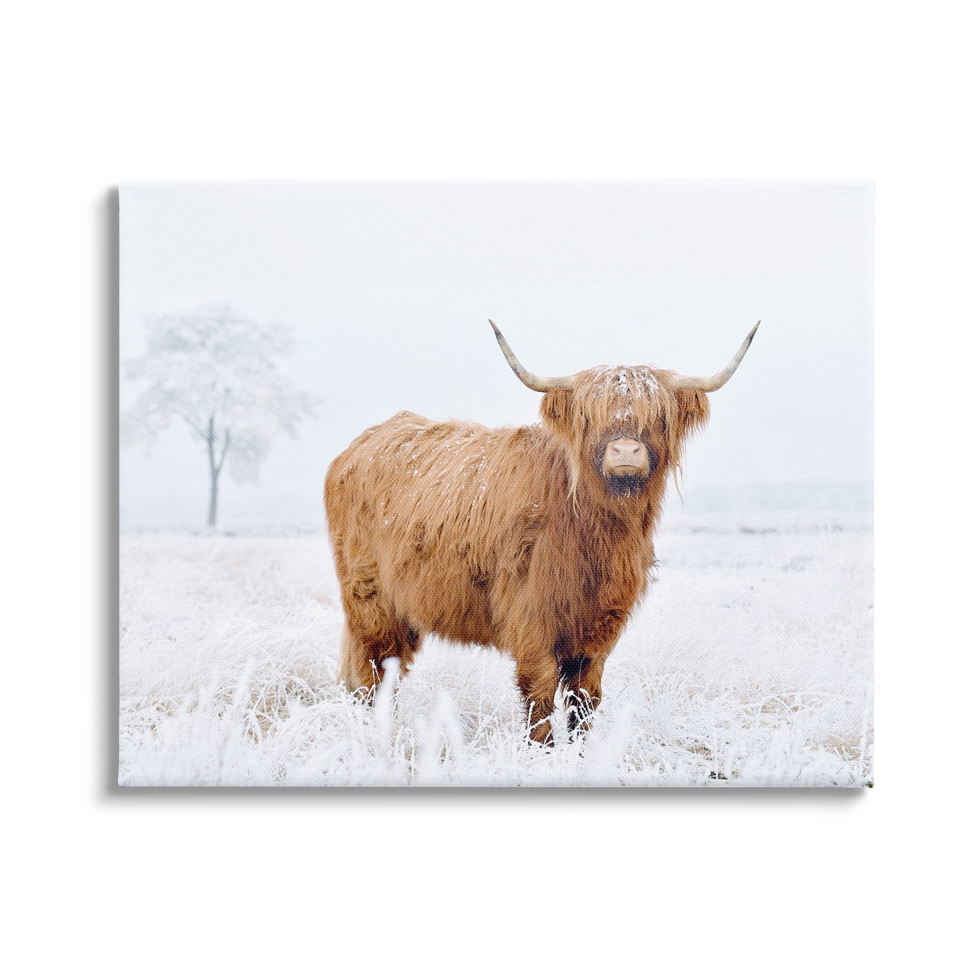 Stupell Industries Highland Cow in Snow Animals & Insects Photography Gallery Wrapped Canvas Art Print Wall Art, 30 x 24