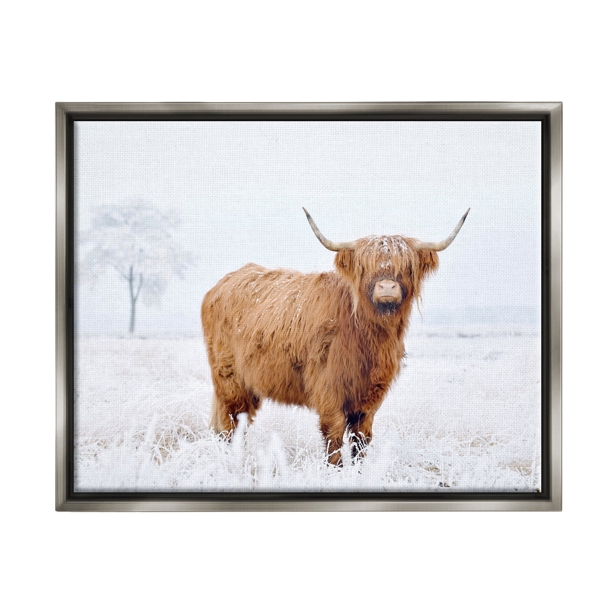 Stupell Industries Highland Cow in Snow Animals & Insects Photography Gray Floater Framed Canvas Art Print Wall Art, 31 x 25