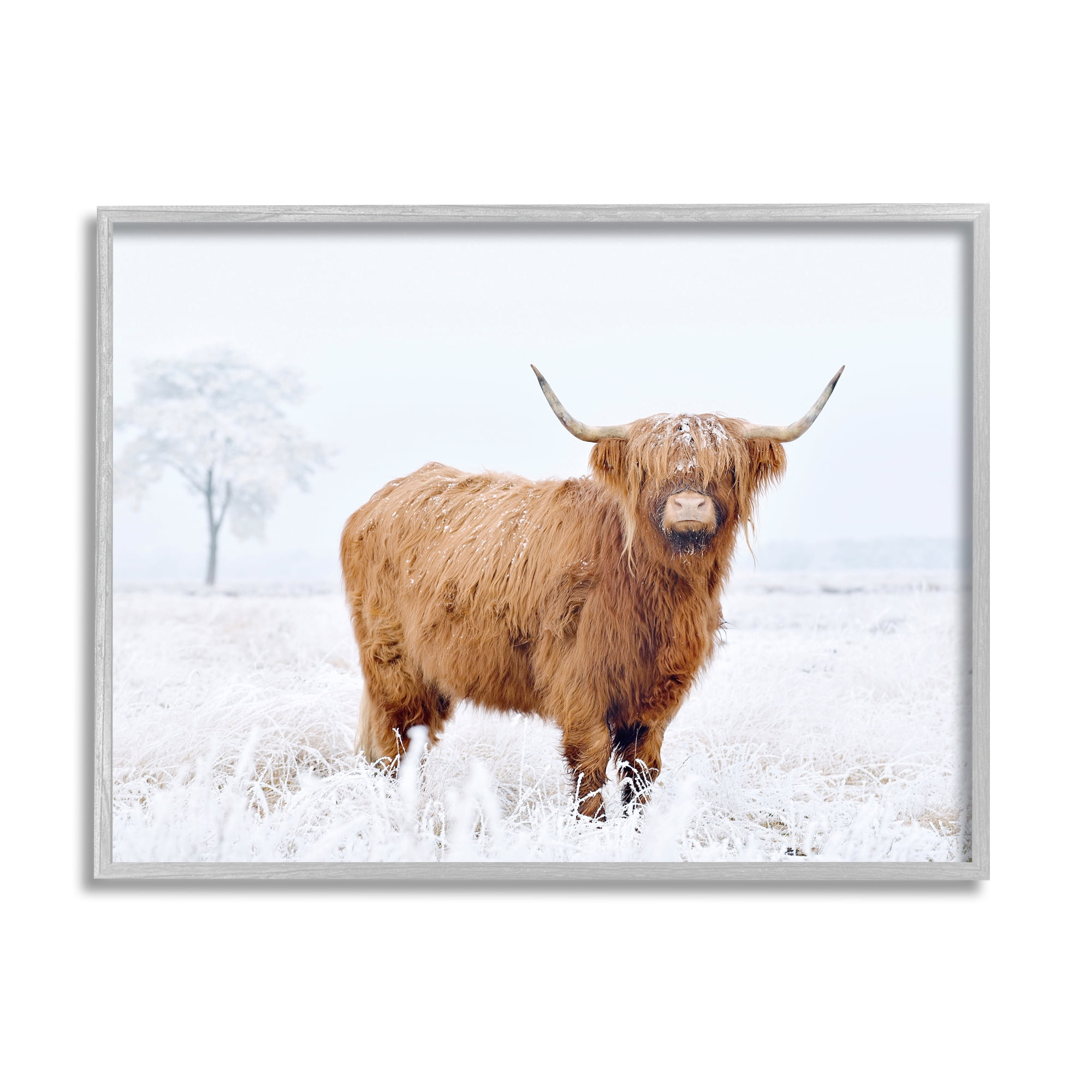 Stupell Industries Highland Cow in Snow Animals & Insects Photography Gray Framed Art Print Wall Art, 20 x 16