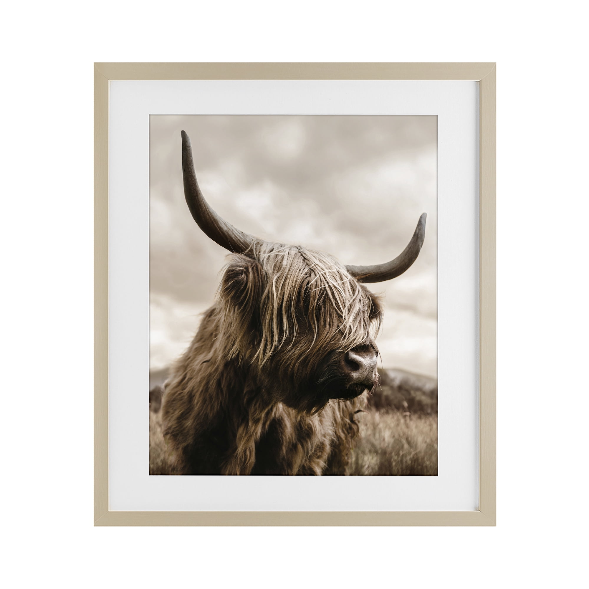 Stupell Industries Highland Cow on Windswept Moor Birch Framed Print Under Glass, design by CAD Designs
