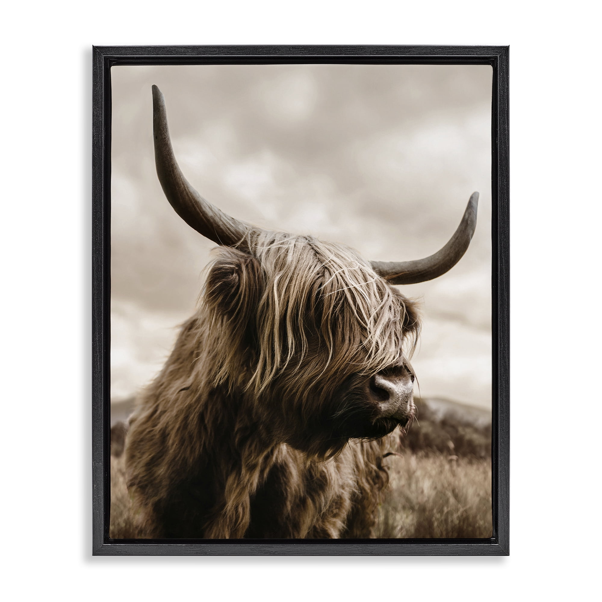 Stupell Industries Highland Cow on Windswept Moor Black Framed Floater Canvas Wall Art, design by CAD Designs