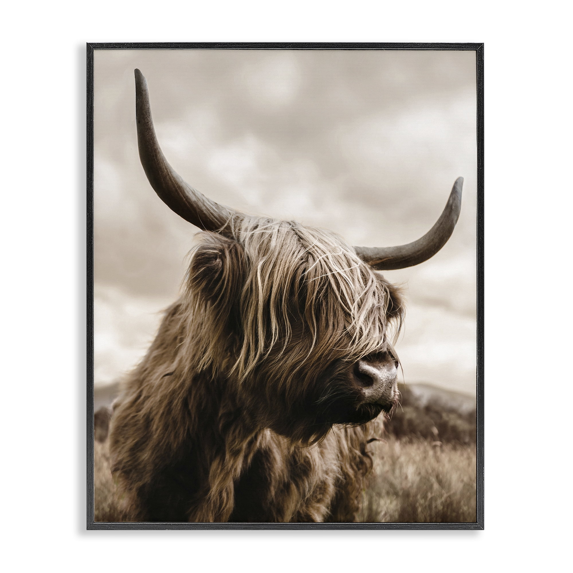 Stupell Industries Highland Cow on Windswept Moor Black Framed Giclee Art, design by CAD Designs