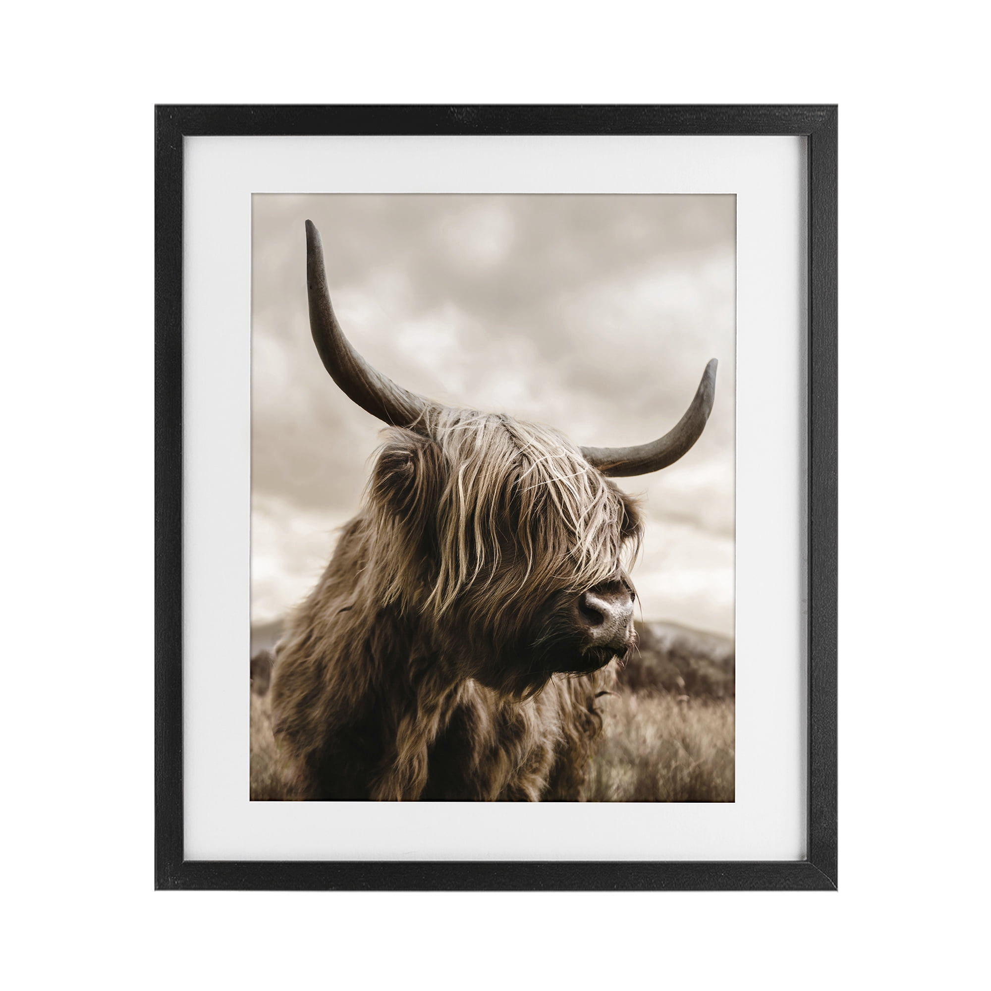 Stupell Industries Highland Cow on Windswept Moor Black Framed Print Under Glass, design by CAD Designs