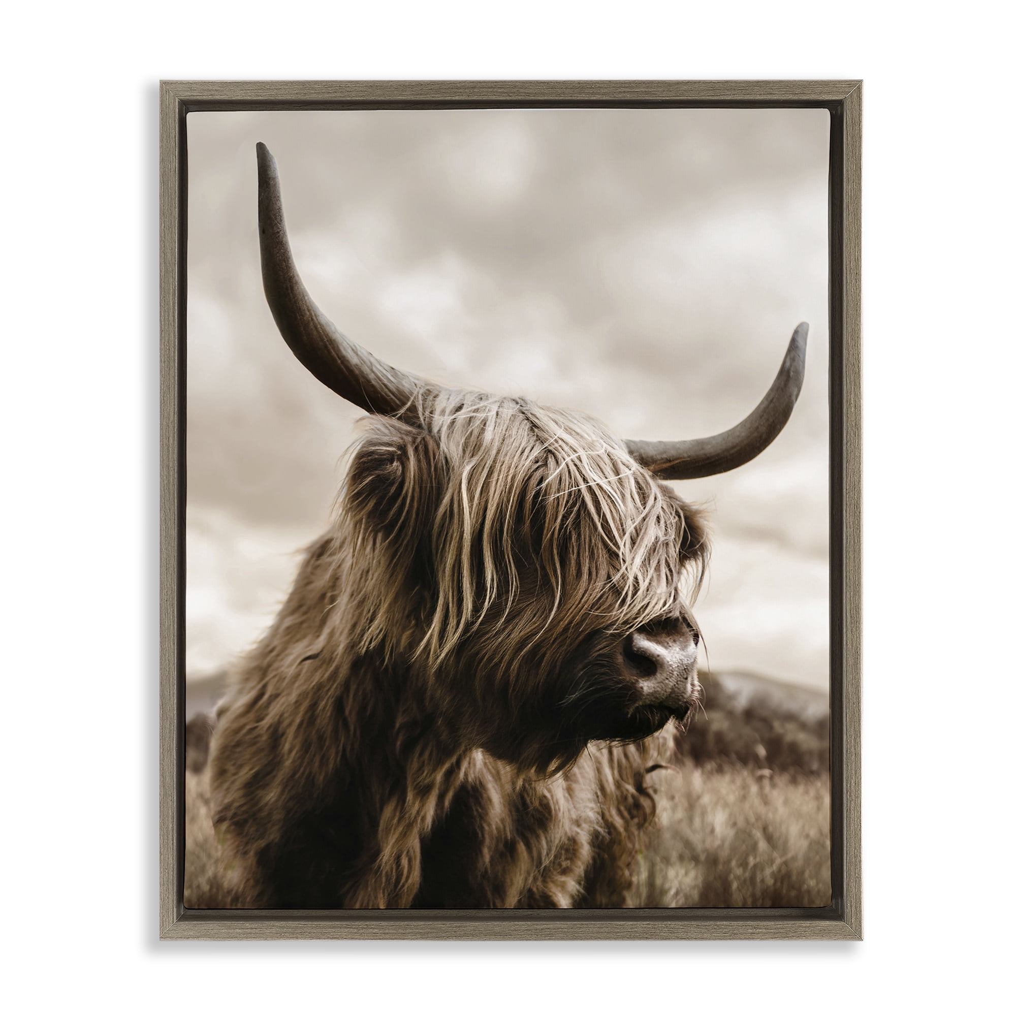 Stupell Industries Highland Cow on Windswept Moor Brown Framed Floater Canvas Wall Art, design by CAD Designs