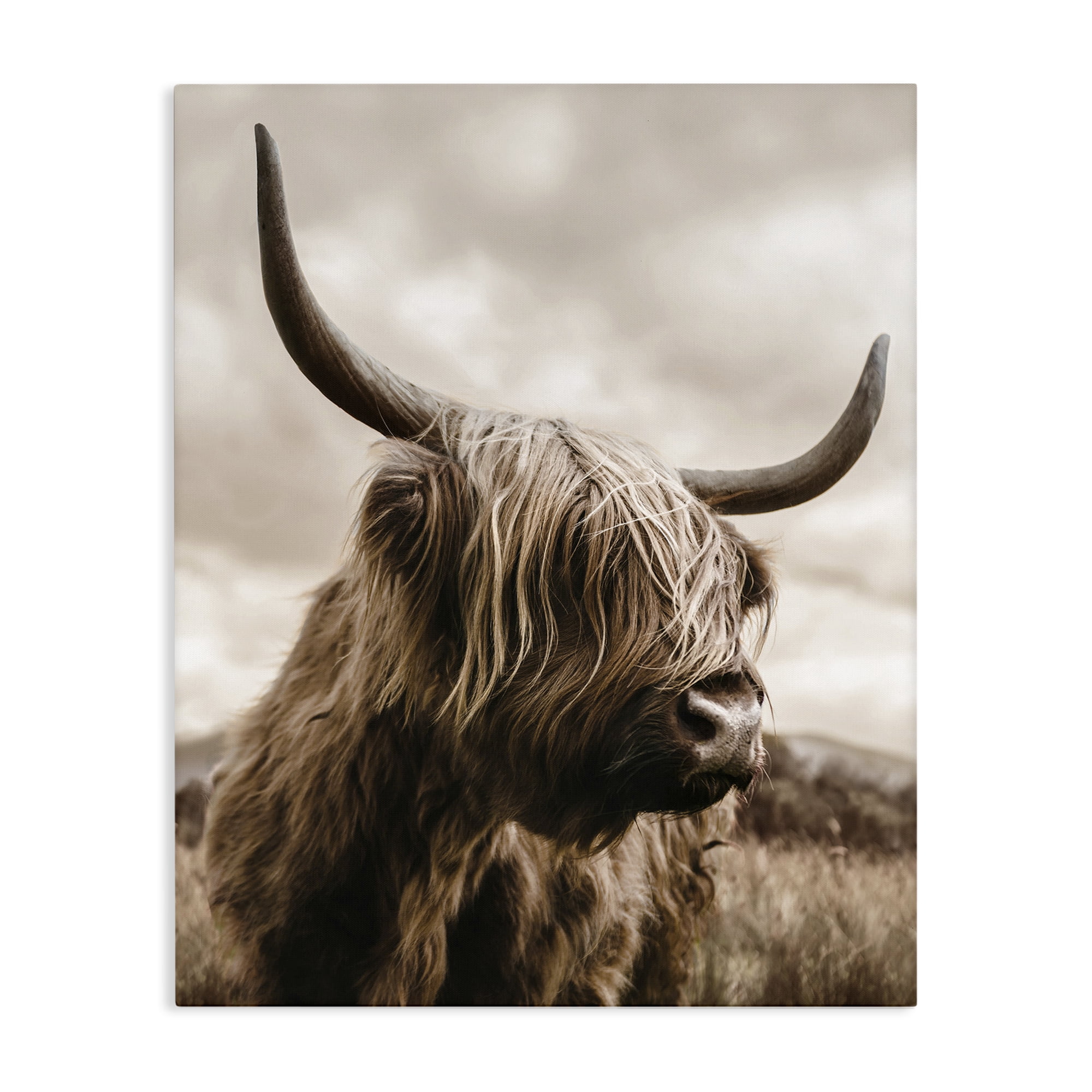 Stupell Industries Highland Cow on Windswept Moor Canvas Wall Art, design by CAD Designs