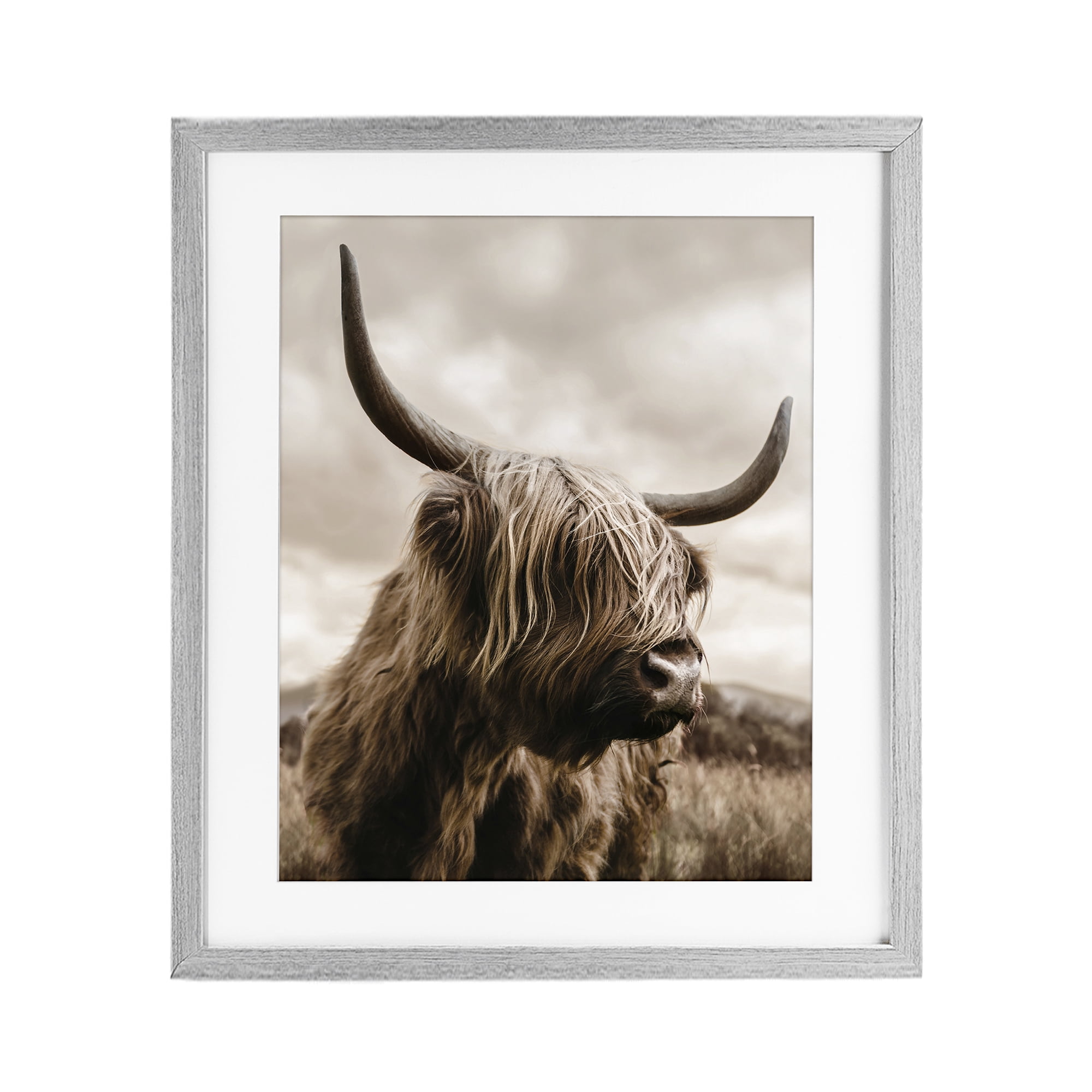 Stupell Industries Highland Cow on Windswept Moor Gray Framed Print Under Glass, design by CAD Designs