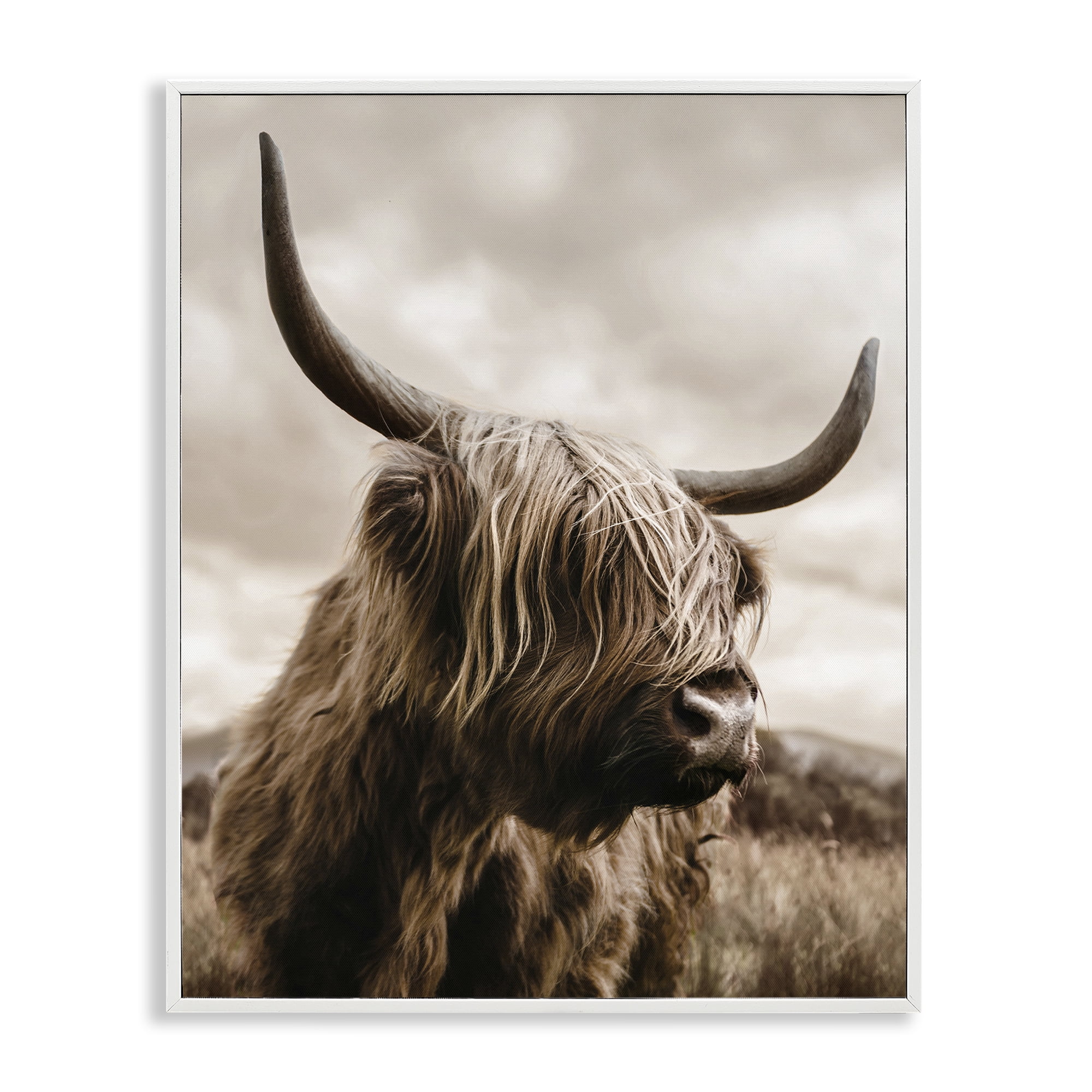 Stupell Industries Highland Cow on Windswept Moor White Framed Giclee Art, design by CAD Designs