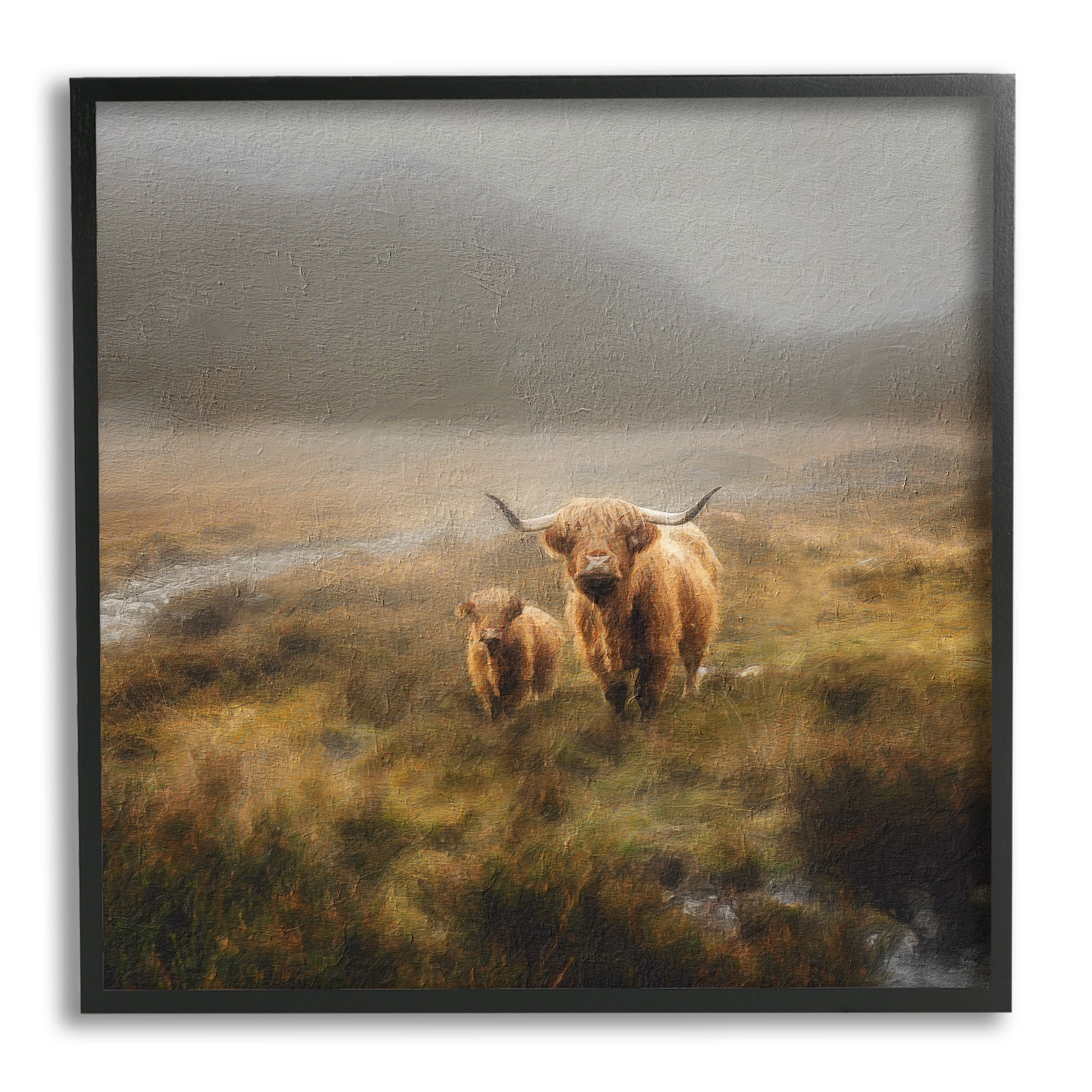 Stupell Industries Highland Cows Rural Landscape Animals & Insects Photography Black Framed Art Print Wall Art, 24 x 24