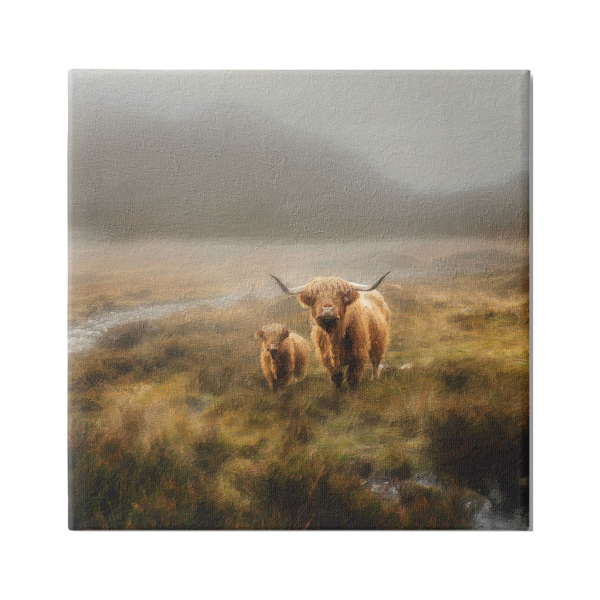 Stupell Industries Highland Cows Rural Landscape Animals & Insects Photography Gallery Wrapped Canvas Print Wall Art, 30 x 30