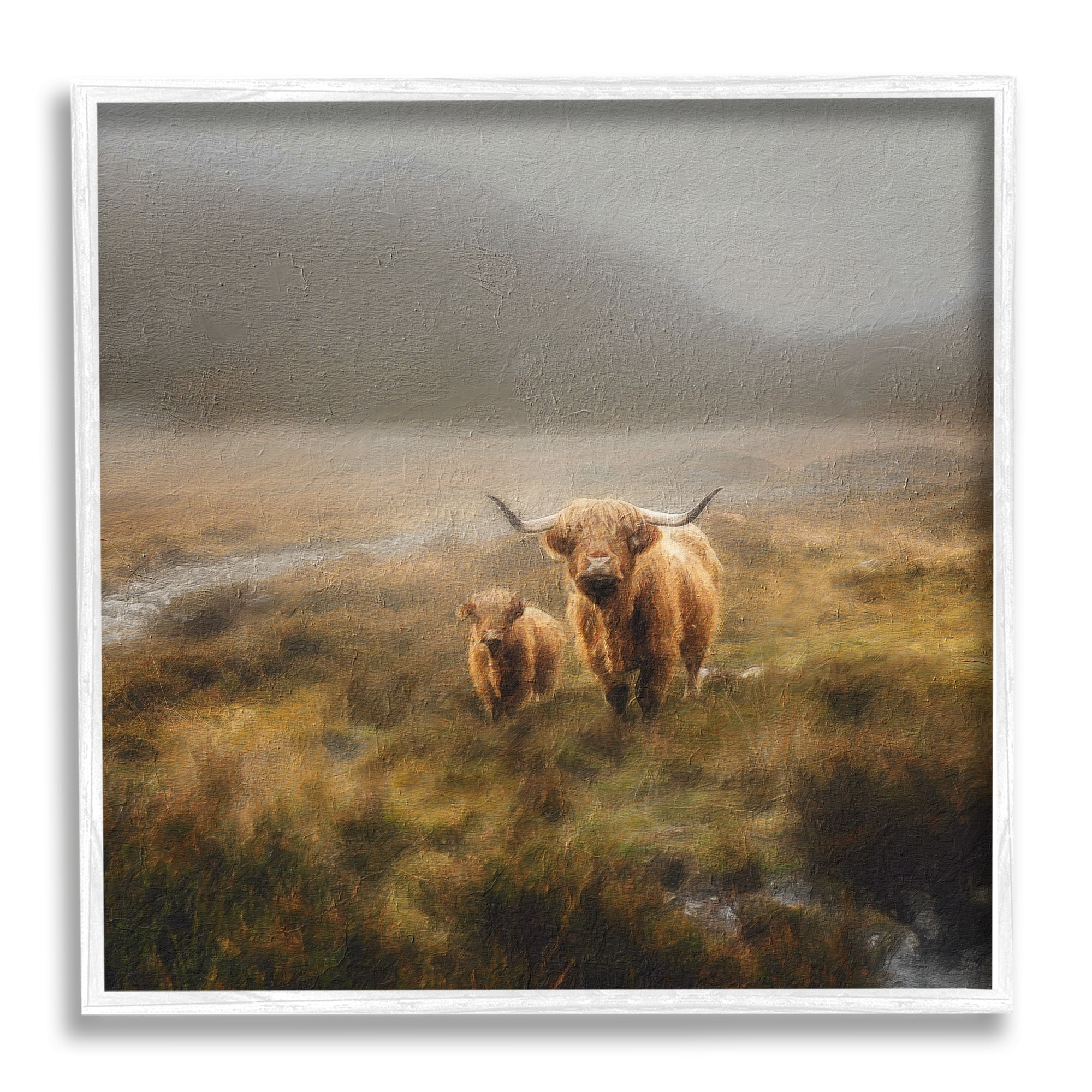 Stupell Industries Highland Cows Rural Landscape Animals & Insects Photography White Framed Art Print Wall Art, 12 x 12