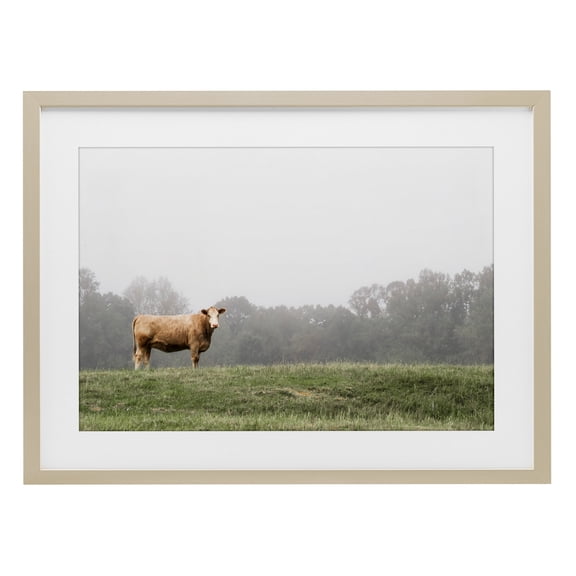 Stupell Industries Highland Grace Cattle Birch Framed Print Under Glass design by J:L Design, 14 x 20