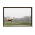 thumbnail image 1 of Stupell Industries Highland Grace Cattle Brown Framed Floater Canvas Wall Art design by J:L Design, 21 x 31, 1 of 9