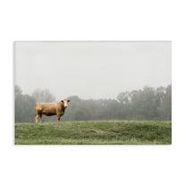 Stupell Industries Highland Grace Cattle Canvas Wall Art design by J:L Design, 16 x 24