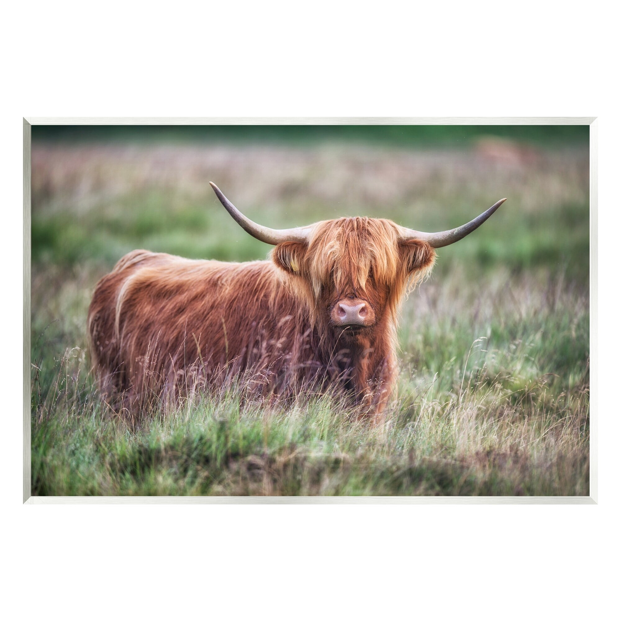Stupell Industries Highland Longhorn Cattle Grazing Rural Countryside Grassland Photograph Unframed Art Print Wall Art, Design by James Dobson