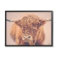 thumbnail image 1 of Stupell Industries Highland in Winter Fog Brown Cow Photograph Black Framed Art Print Wall Art, Design by Nathan Larson, 1 of 7