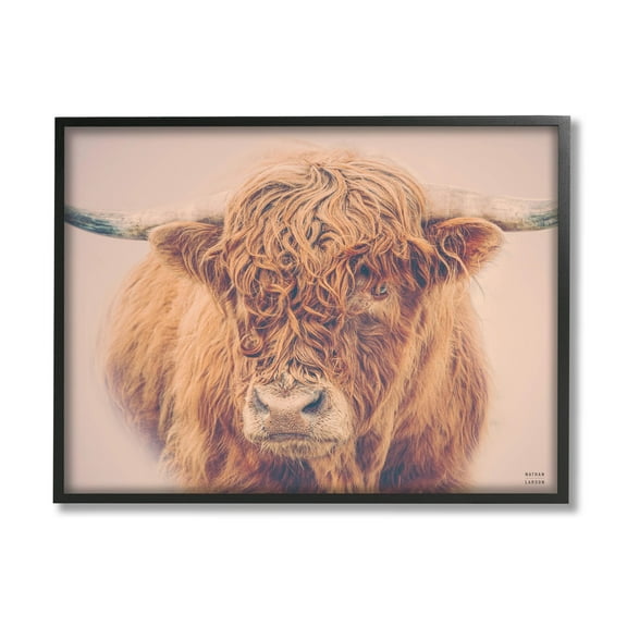 Stupell Industries Highland in Winter Fog Brown Cow Photograph Black Framed Art Print Wall Art, Design by Nathan Larson