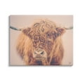 thumbnail image 1 of Stupell Industries Highland in Winter Fog Brown Cow Photograph Gallery Wrapped Canvas Print Wall Art, Design by Nathan Larson, 1 of 7