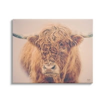 Stupell Industries Highland in Winter Fog Brown Cow Photograph Gallery Wrapped Canvas Print Wall Art, Design by Nathan Larson