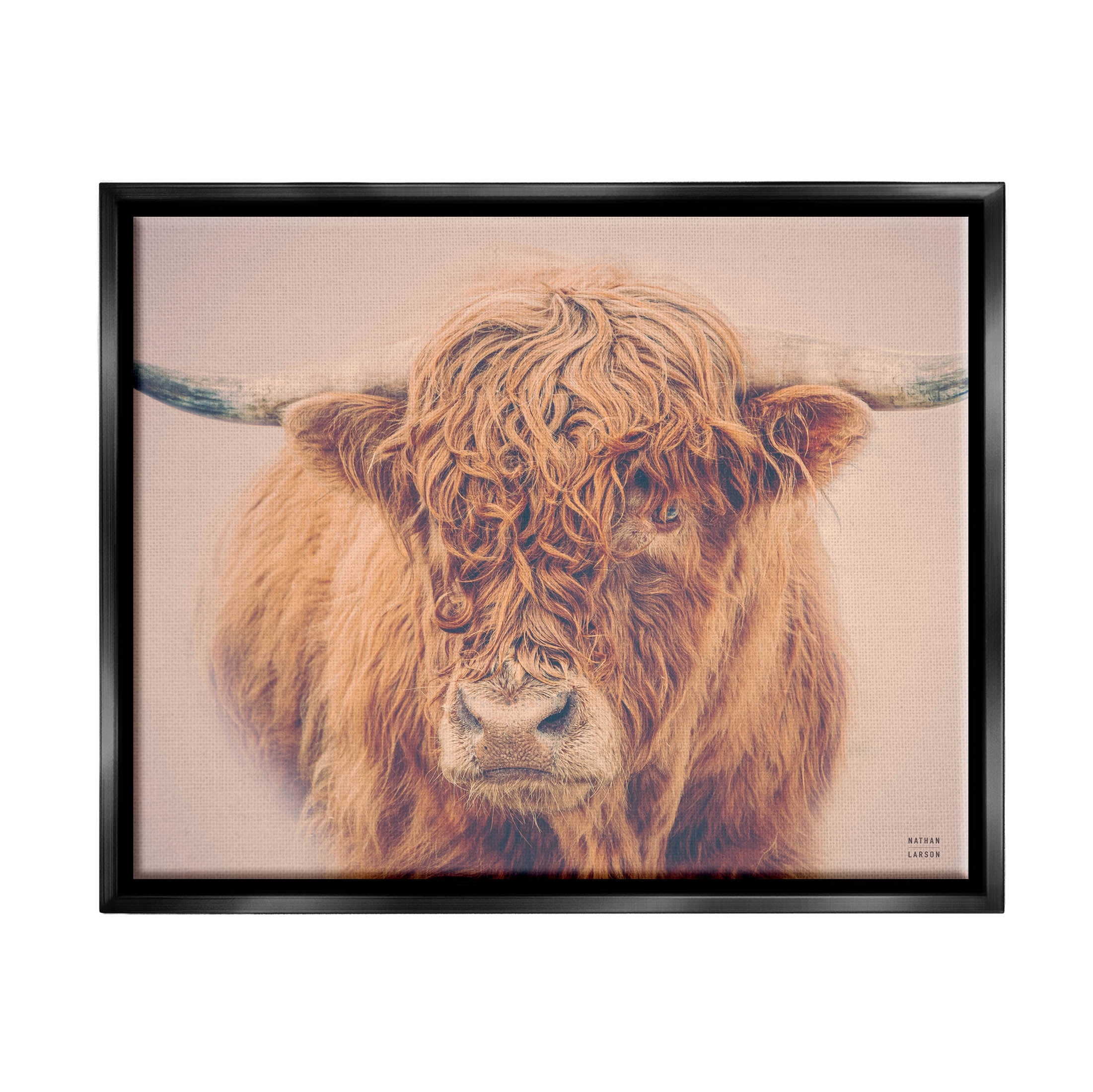 Stupell Industries Highland in Winter Fog Brown Cow Photograph Jet Black Floating Framed Canvas Print Wall Art, Design by Nathan Larson