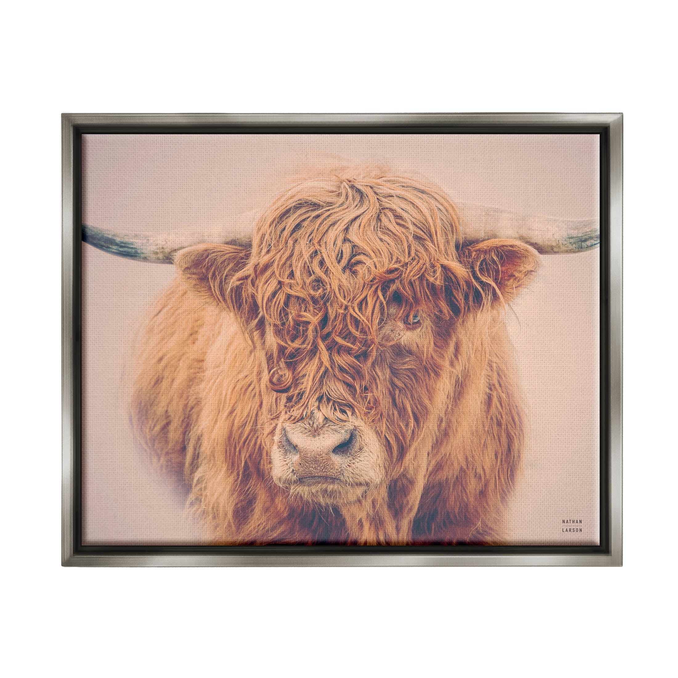 Stupell Industries Highland in Winter Fog Brown Cow Photograph Luster Gray Floating Framed Canvas Print Wall Art, Design by Nathan Larson