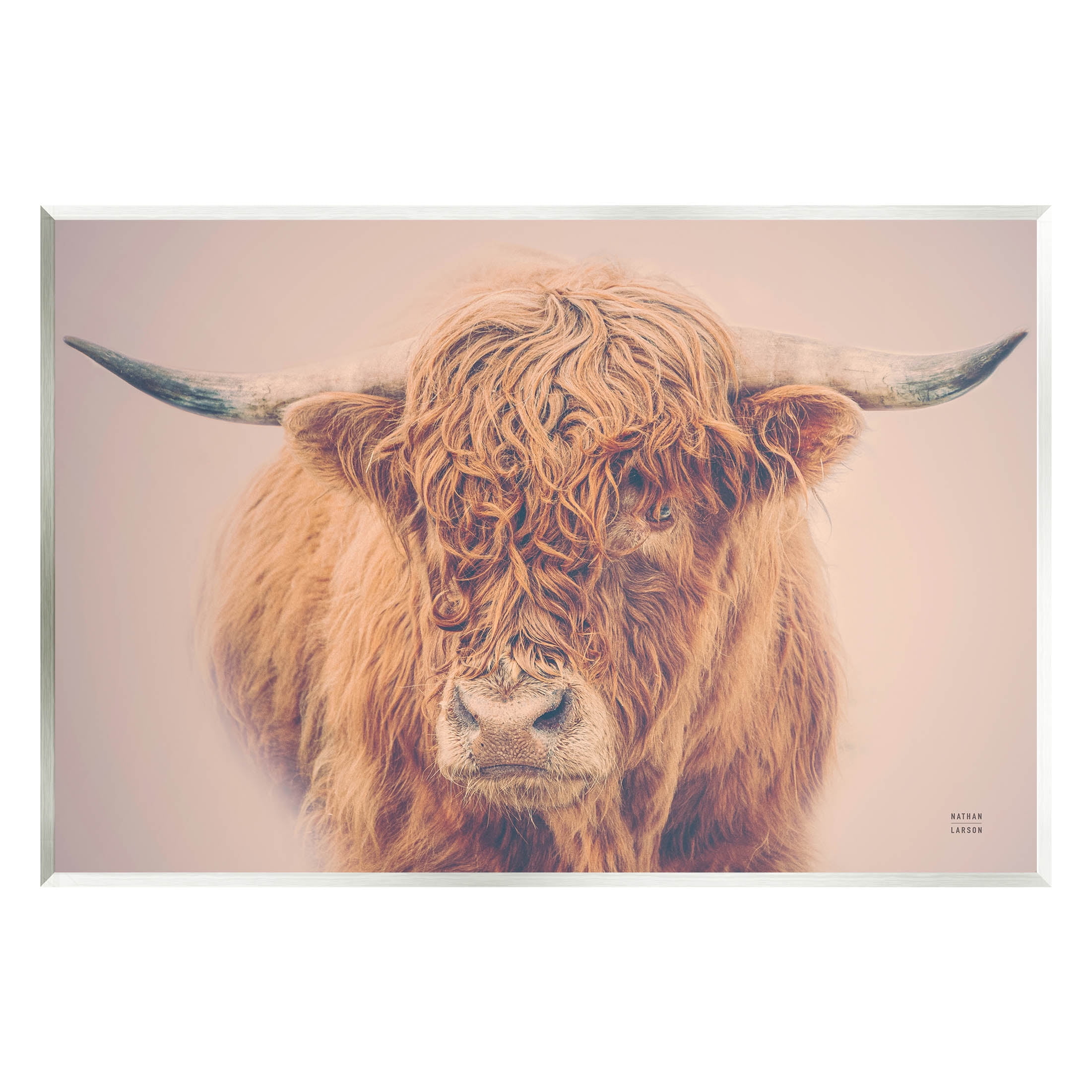 Stupell Industries Highland in Winter Fog Brown Cow Photograph Unframed Art Print Wall Art, Design by Nathan Larson