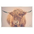 thumbnail image 1 of Stupell Industries Highland in Winter Fog Brown Cow Photograph Unframed Art Print Wall Art, Design by Nathan Larson, 1 of 6