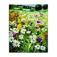 thumbnail image 1 of Stupell Industries Coastal Hillside Fusion Meadow Canvas Art, 24 x 30, by Lee Ann Zirbes, 1 of 8