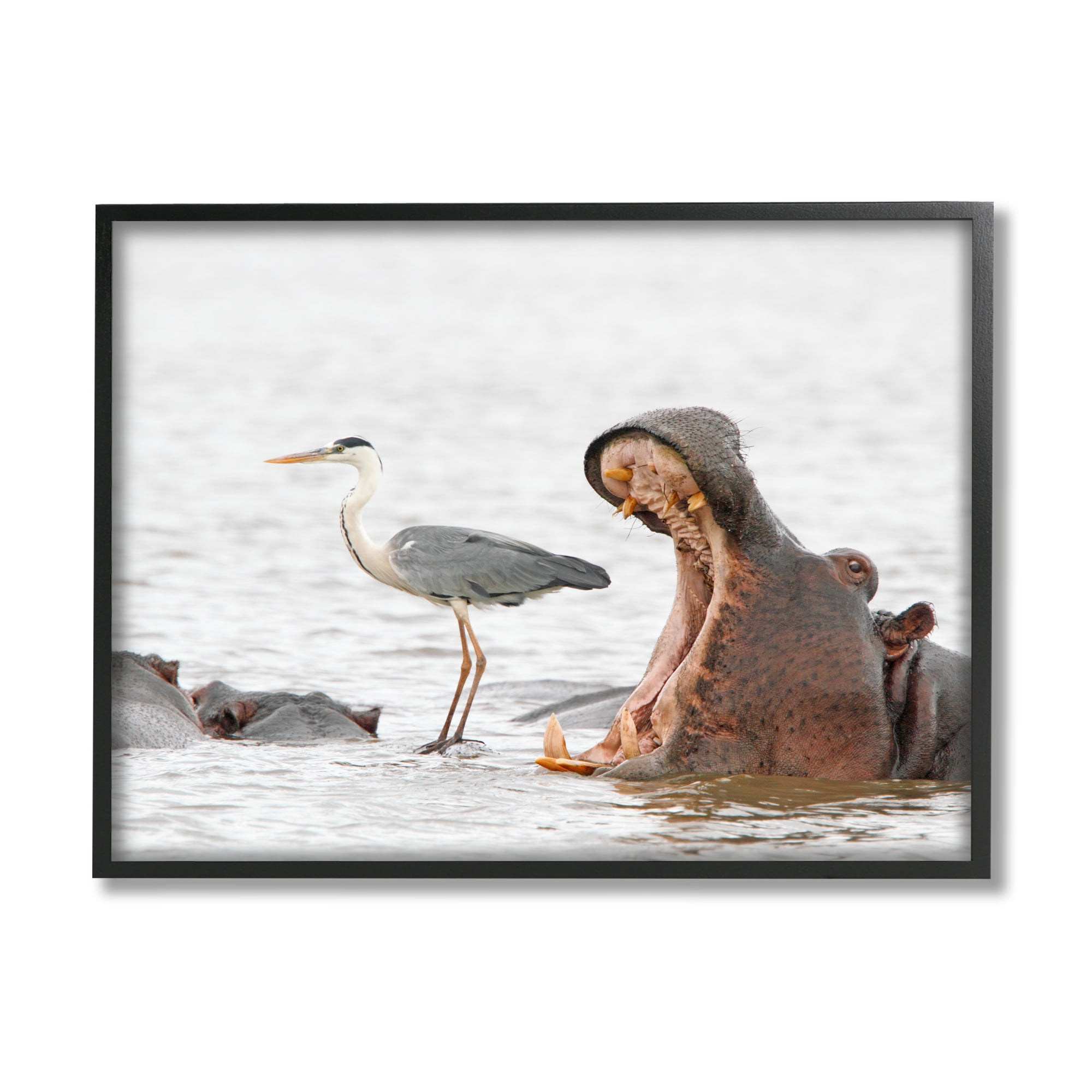 Stupell Industries Hippo & Heron Photography Animals & Insects Photography Black Framed Art Print Wall Art, 30 x 24