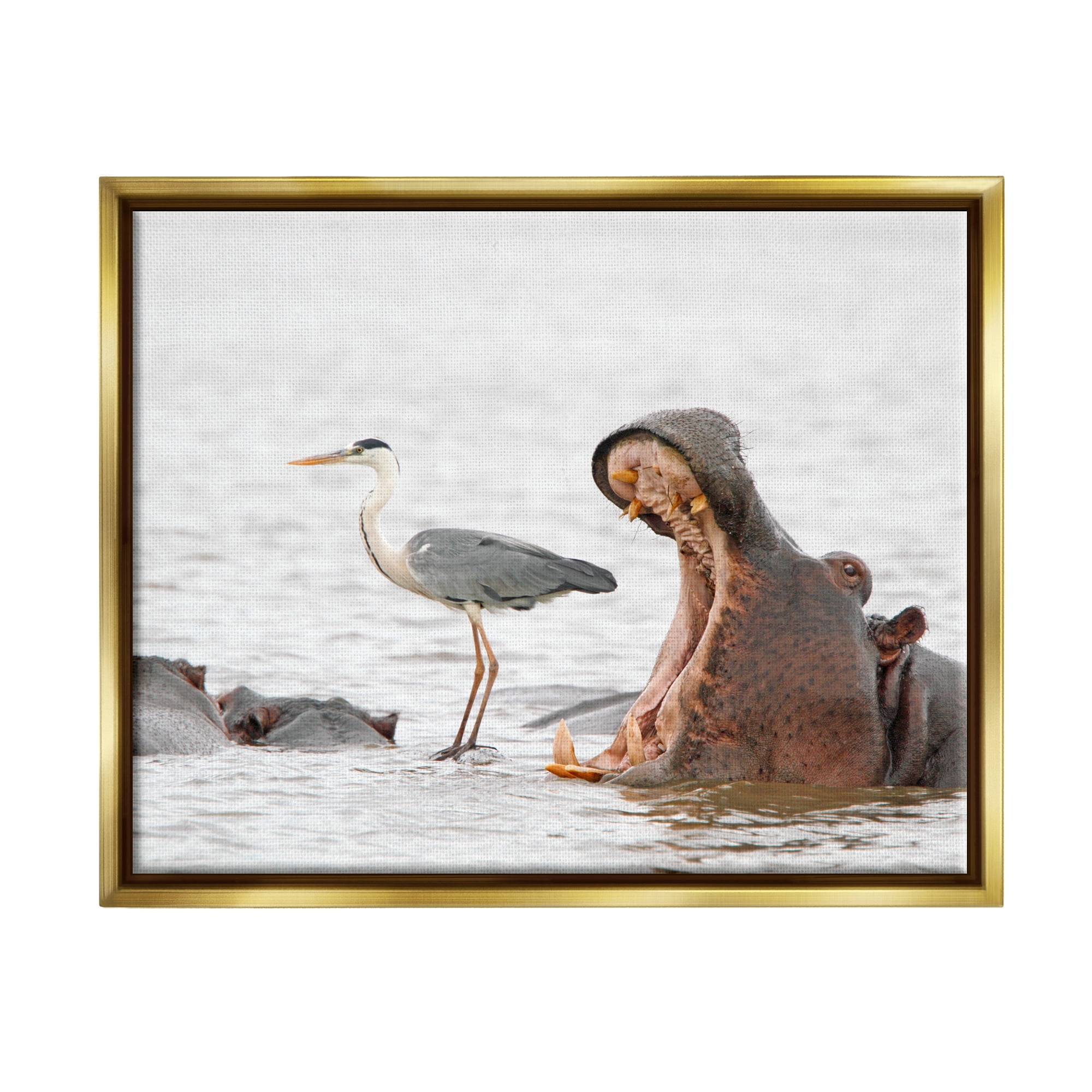 Stupell Industries Hippo & Heron Photography Animals & Insects Photography Gold Floater Framed Canvas Art Print Wall Art, 21 x 17