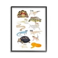thumbnail image 1 of Stupell Industries Hipster Glasses Reptiles Animals & Insects Painting Black Framed Art Print Wall Art, 11 x 14, 1 of 9