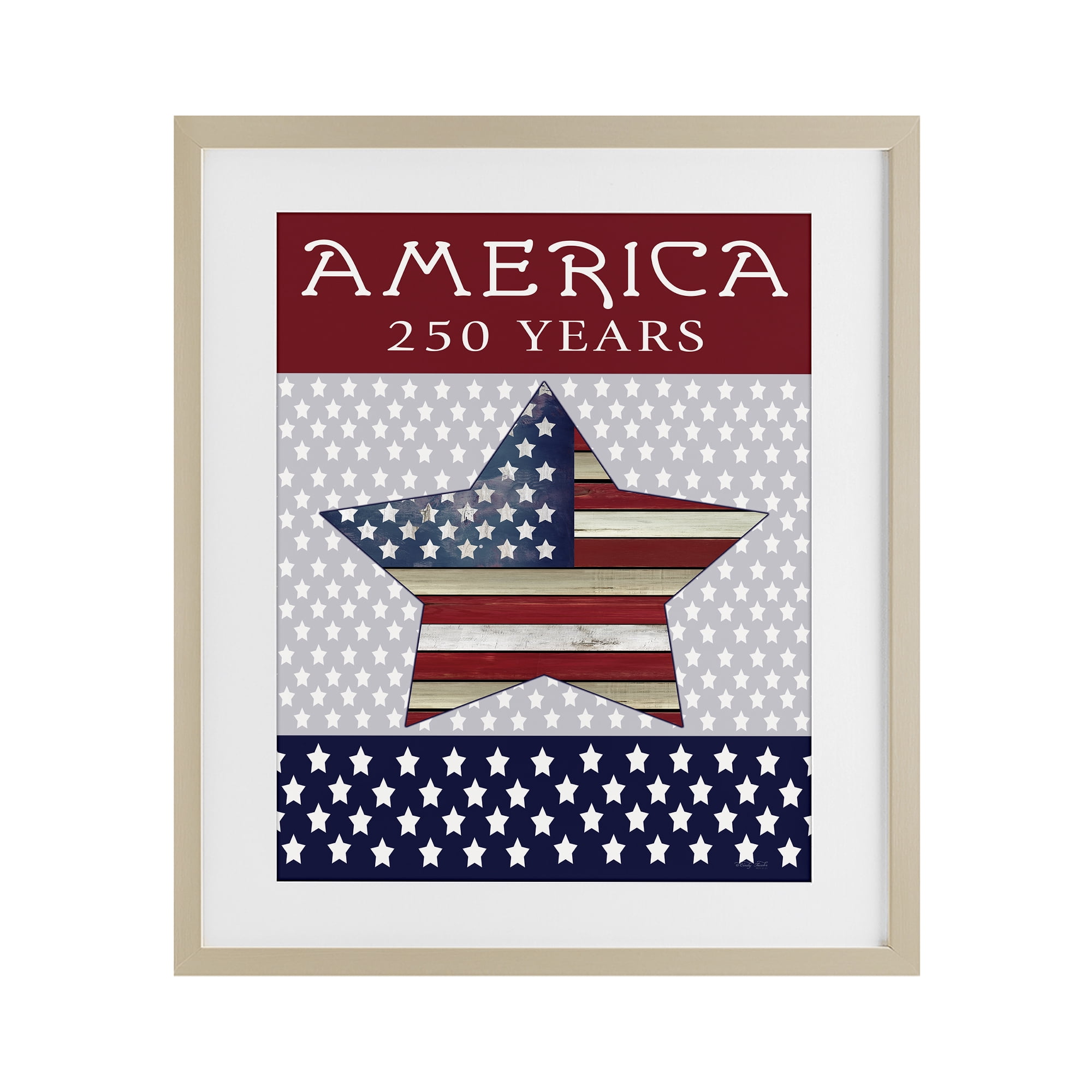 Stupell Industries Historic America 250 Years Birch Framed Print Under Glass, design by Cindy Jacobs
