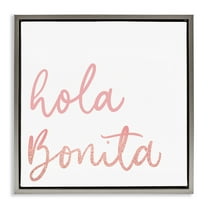 Stupell Industries Hola Bonita Rosa Inspirational Quotes & Sayings Painting Gray Floater Framed Art Print Wall Art, 18 x 18