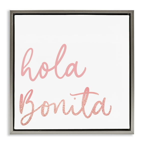 Stupell Industries Hola Bonita Rosa Inspirational Quotes & Sayings Painting Gray Floater Framed Art Print Wall Art, 18 x 18