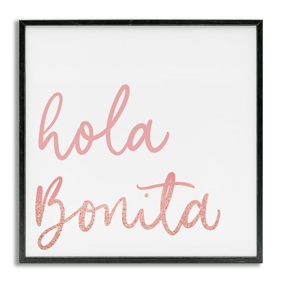 Stupell Industries Hola Bonita Rosa Inspirational Quotes & Sayings Painting Gray Framed Art Print Wall Art, 24 x 24