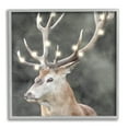 thumbnail image 1 of Stupell Industries Holiday Lights on Antlers Holiday Painting Gray Framed Art Print Wall Art, 17 x 17, 1 of 9