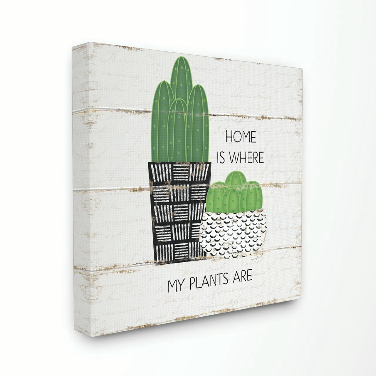 Stupell Industries Home Plants Cacti Succulents Wood Textured Design Canvas Wall Art by Jennifer Pugh