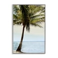 thumbnail image 1 of Stupell Industries Honduras Coast Palm Tree Gray Framed Giclee Art design by Natalie Carpentieri, 18 x 12, 1 of 8