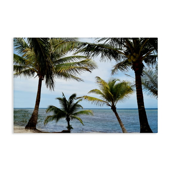 Stupell Industries Honduras Daytime Palms Canvas Wall Art design by Natalie Carpentieri, 30 x 45