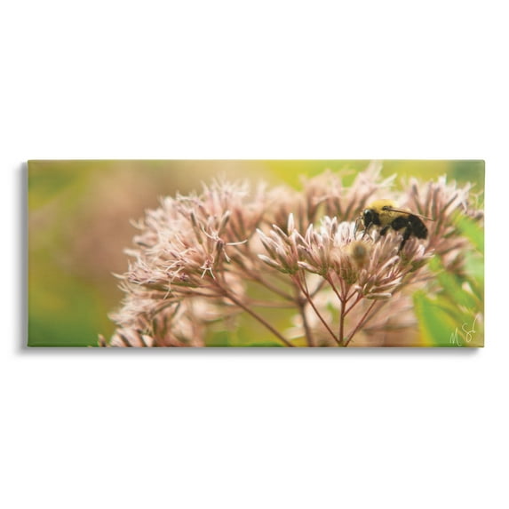 Stupell Industries Honey Bee Photography Botanical & Floral Photography Gallery Wrapped Canvas Art Print Wall Art, 48 x 20