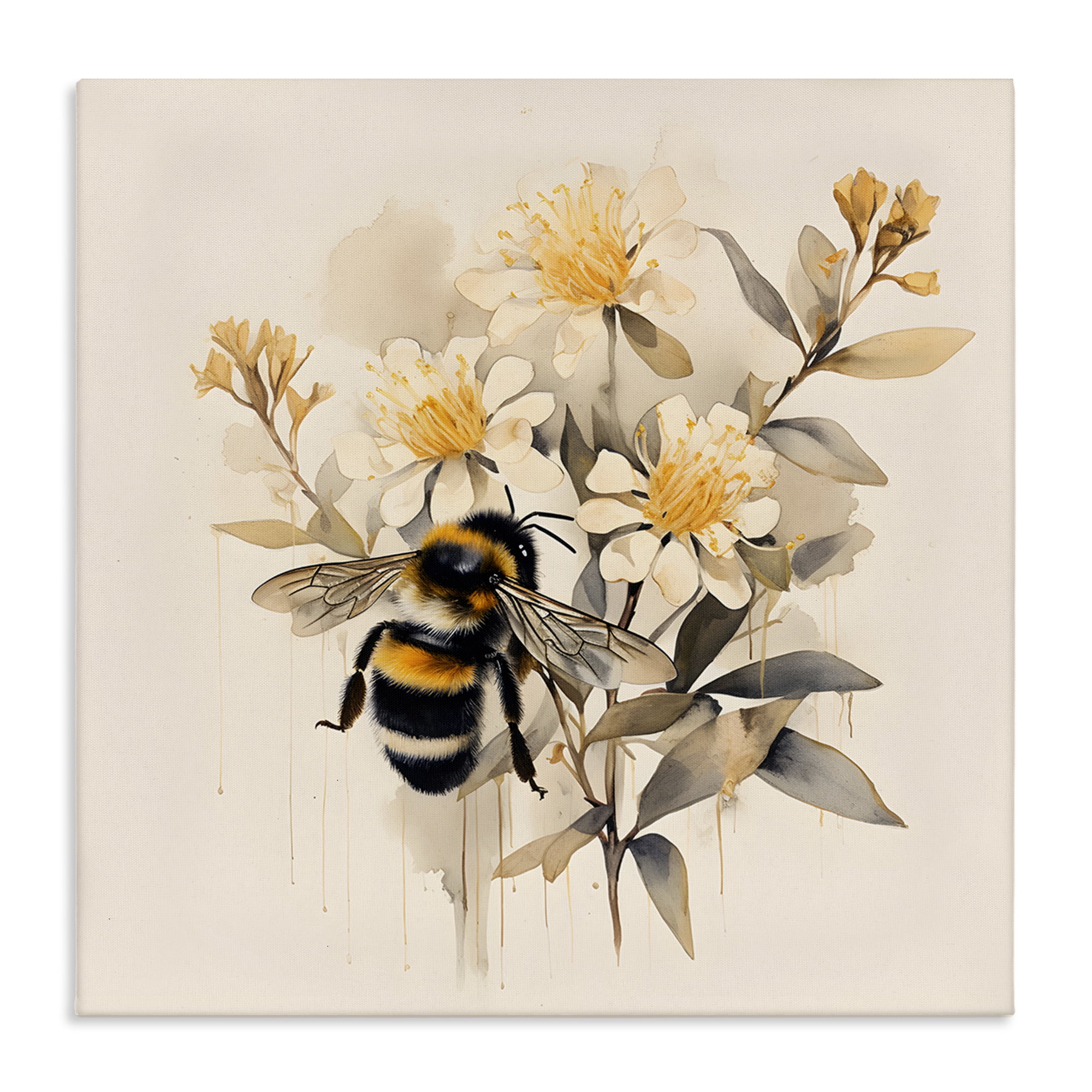 Stupell Industries Honeybee with Daisies Animals & Insects Painting Gallery Wrapped Canvas Art Print Wall Art, 30 x 30