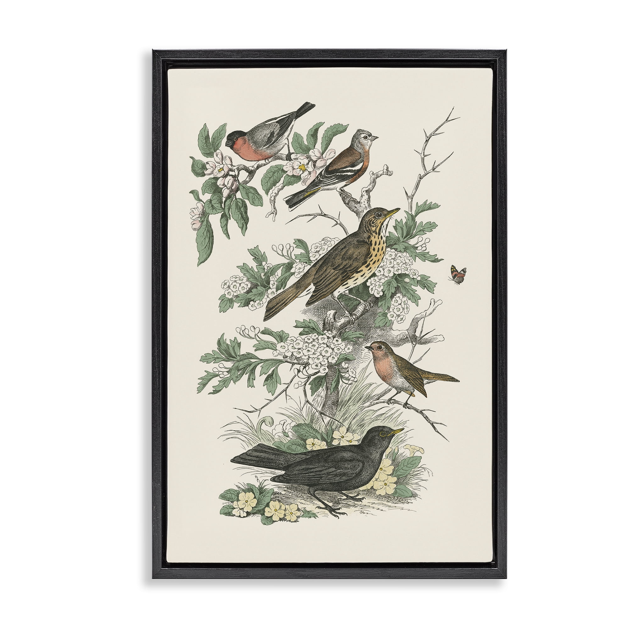 Stupell Industries Honeybloom Birds Perched Botanical & Floral Painting Black Floater Framed Canvas Art Print Wall Art, 17 x 25