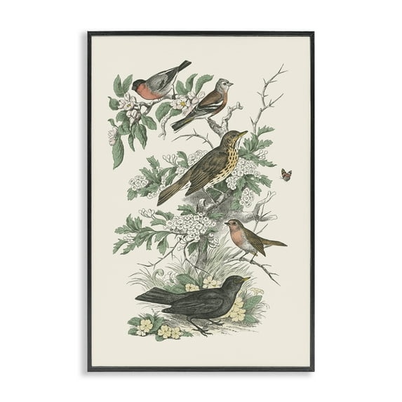 Stupell Industries Honeybloom Birds Perched Botanical & Floral Painting Black Framed Art Print Wall Art, 12 x 18