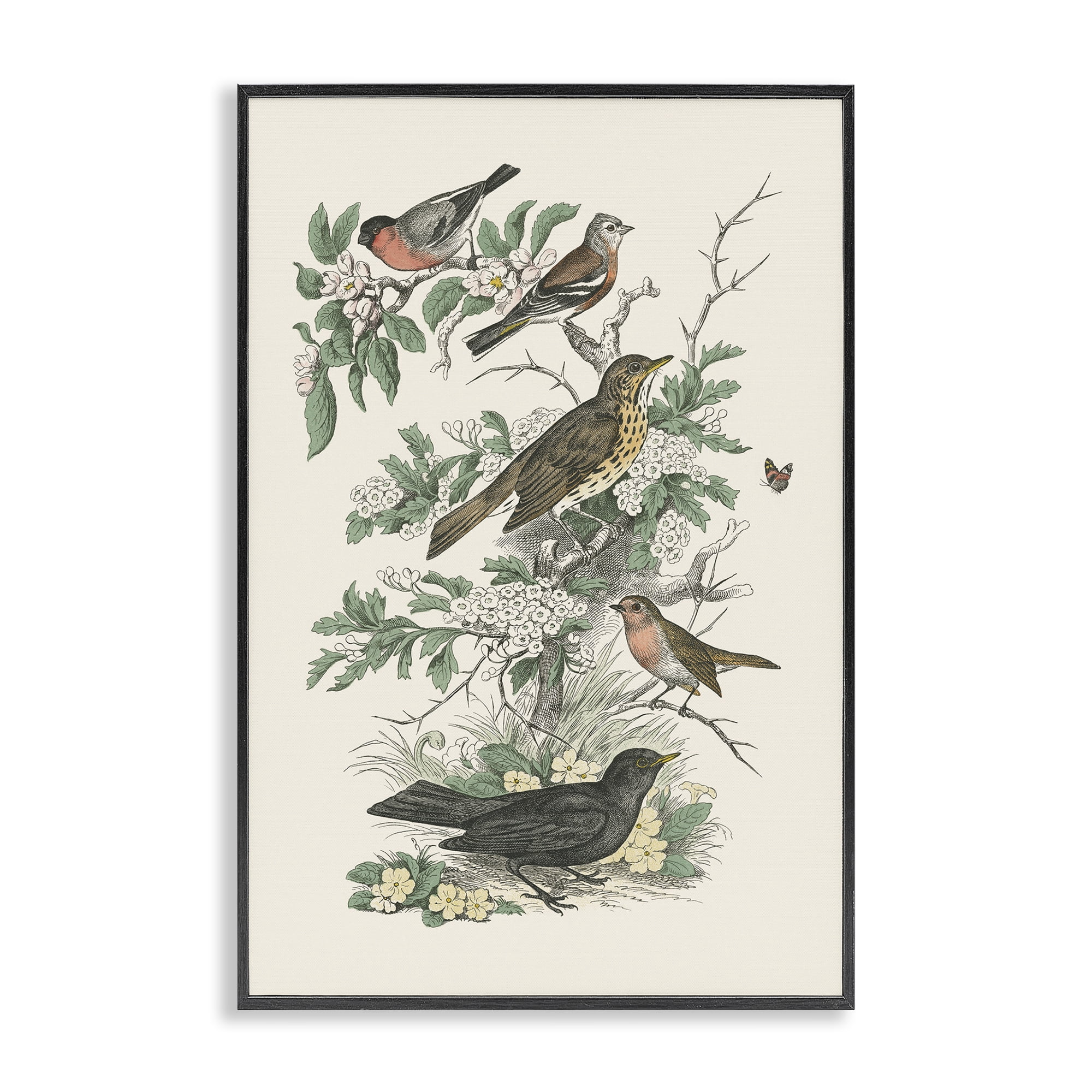 Stupell Industries Honeybloom Birds Perched Botanical & Floral Painting Black Framed Art Print Wall Art, 16 x 24