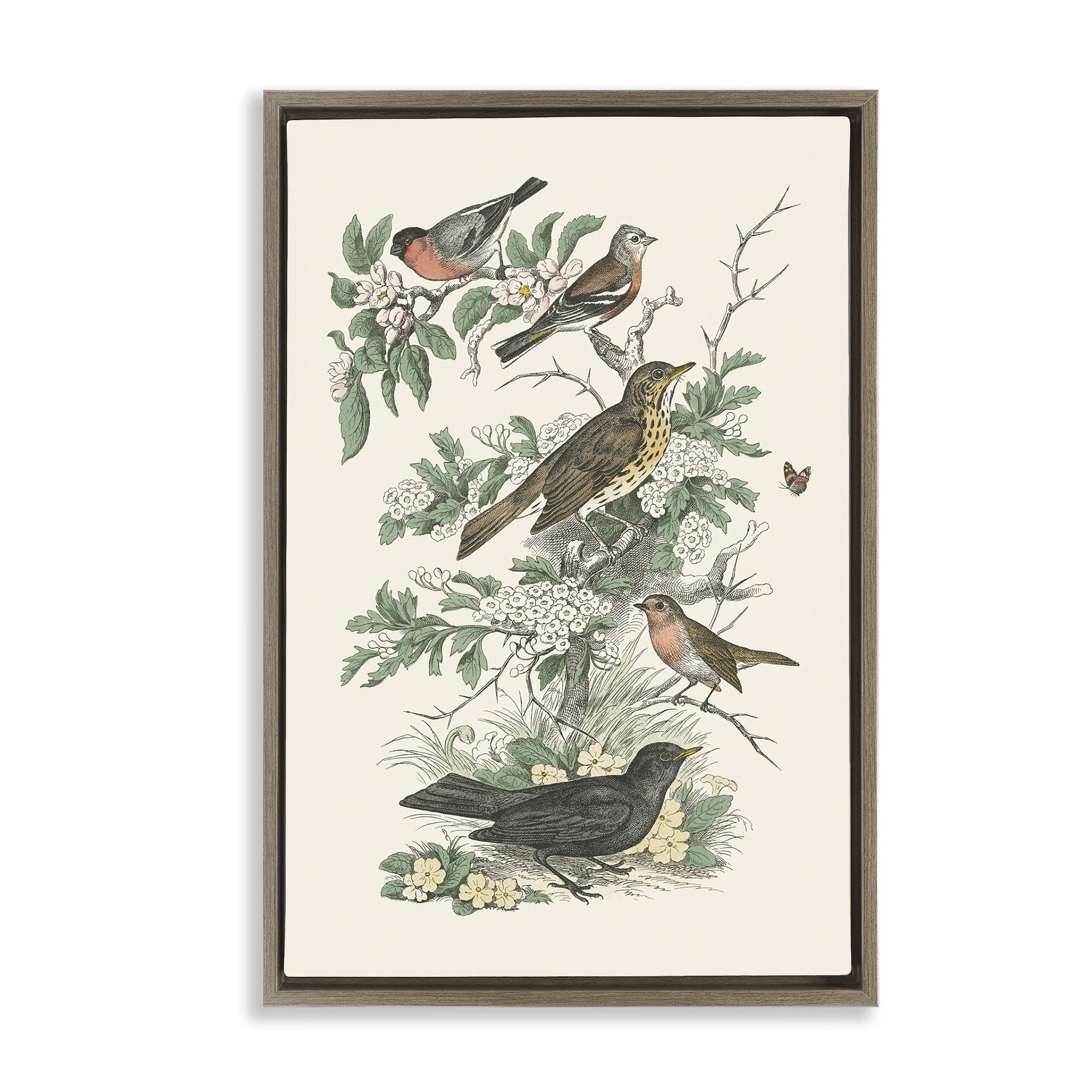 Stupell Industries Honeybloom Birds Perched Botanical & Floral Painting Brown Floater Framed Canvas Art Print Wall Art, 17 x 25