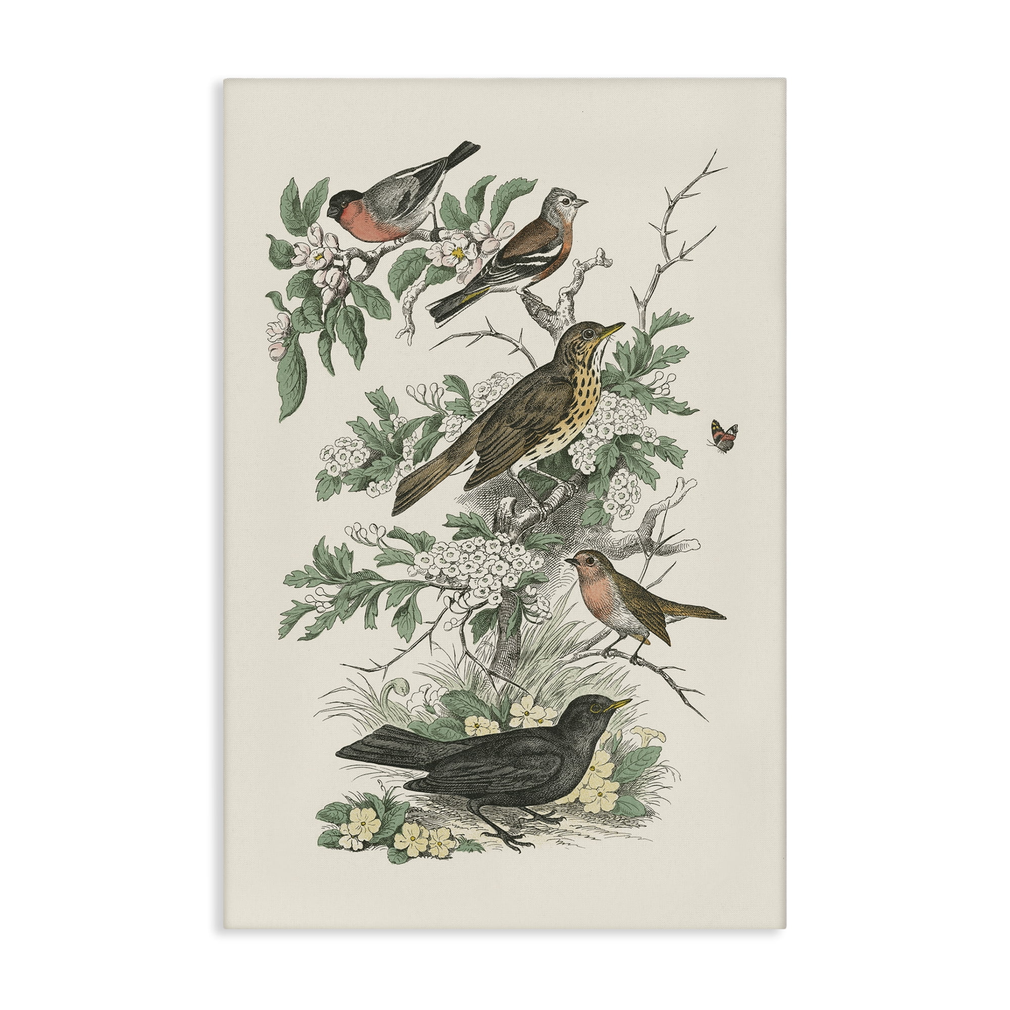 Stupell Industries Honeybloom Birds Perched Botanical & Floral Painting Gallery Wrapped Canvas Art Print Wall Art, 30 x 45