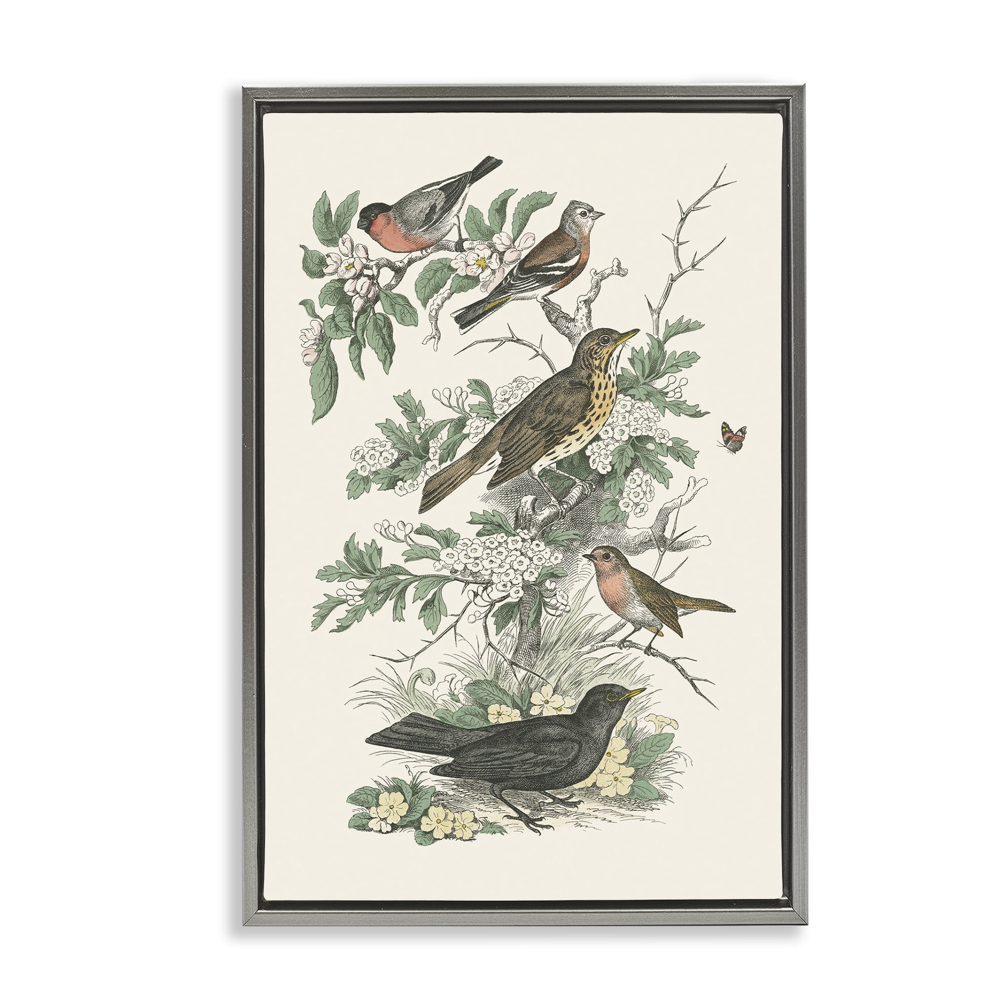 Stupell Industries Honeybloom Birds Perched Botanical & Floral Painting Gray Floater Framed Canvas Art Print Wall Art, 17 x 25