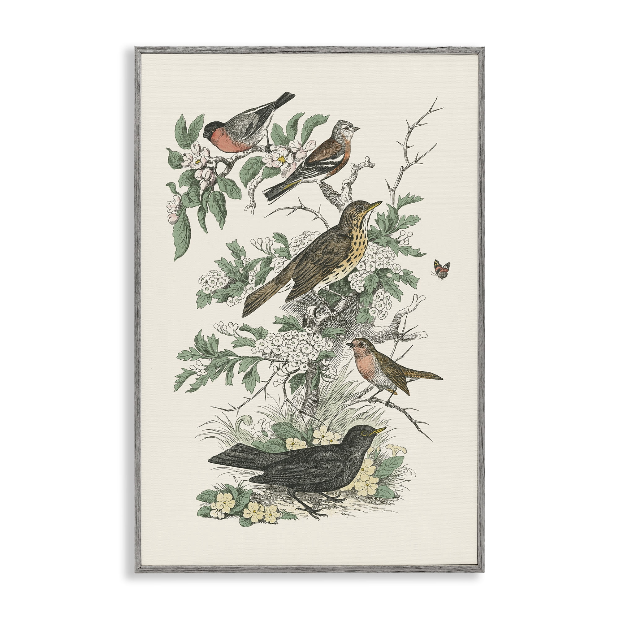 Stupell Industries Honeybloom Birds Perched Botanical & Floral Painting Gray Framed Art Print Wall Art, 12 x 18