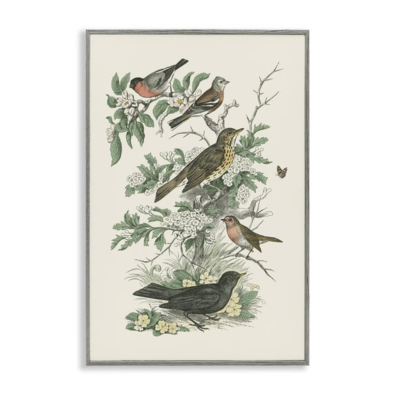 Stupell Industries Honeybloom Birds Perched Botanical & Floral Painting Gray Framed Art Print Wall Art, 16 x 24